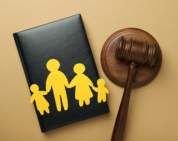 Easily-Assist-Family-Law-Professionals