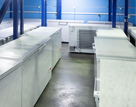 Commercial-Refrigeration